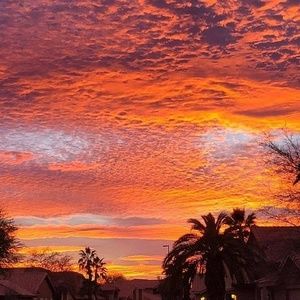 Meet your Posher, Lana